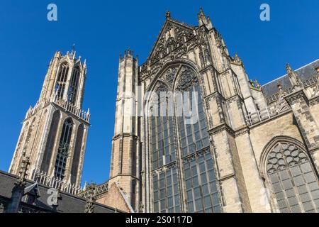 Dom Tower und St. Martin's Cathedral of Utrecht in den Niederlanden Stockfoto