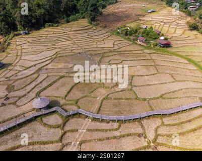 Aus der Vogelperspektive auf die Kho Ku so Bamboo Bridge und Reisfelder im Norden Thailands in der Nähe von Pai Stockfoto