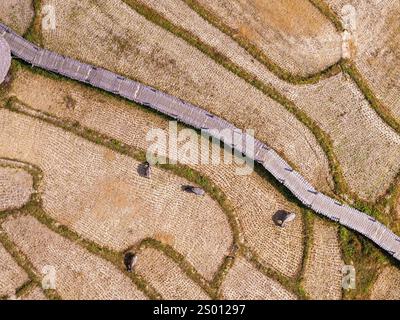 Aus der Vogelperspektive auf die Kho Ku so Bamboo Bridge und Reisfelder im Norden Thailands in der Nähe von Pai Stockfoto