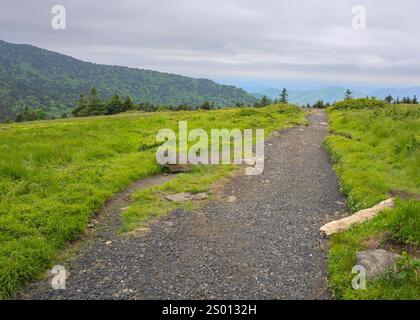 Der Appalachian Trail auf Round bald, Richtung Norden. Berge sind in der Ferne sichtbar. Stockfoto