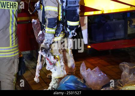 Bautzen - Dachstuhl brennt lichterloh: Mehrere Personen evakuiert 16.12.2024 gegen 21:45 Uhr Bautzen, Kantstraße Fotograf: LausitzNews.de Großalarm gegen 21:45 Uhr in der Stadt Bautzen. Einsatzkräfte der Berufsfeuerwehr Bautzen wurden zu einem gemeldet Brand auf die Kantstraße nach Bautzen alarmiert. Schon auf Anfahrt konnte die Einsatzkräfte ein Feuerschein sehen. Als die Kameraden der Feuerwehr eintrafen, wurden sofort weitere Einsatzkräfte der Feuerwehr nachalarmiert und das Stichwort auf B3, Großbrand erhöht. Grund war ein Dachstuhl, der in voller Ausdehnung brannte. Stockfoto