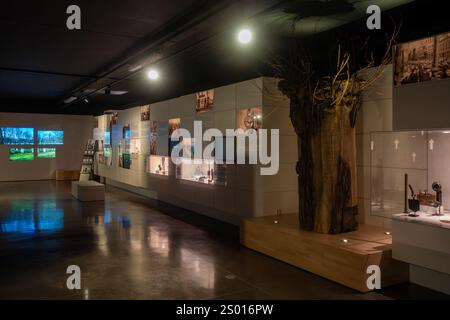 Plugstreet 14-18 Experience, World war One Interpretation Centre und WW1 Museum in Ploegsteert / Plugstreet, Hennegau, Belgien Stockfoto