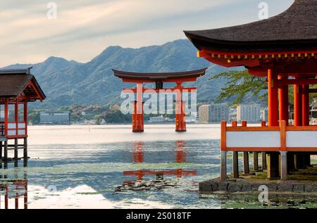 Miyajima Island, das berühmte schwimmende Torii-Tor in Japan. Stockfoto