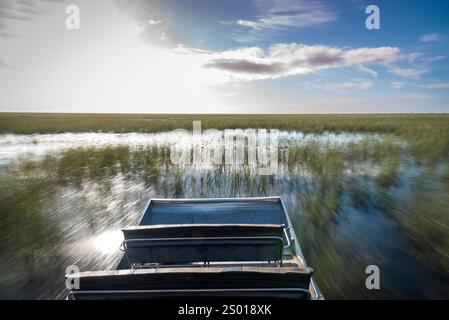 Airboat-Tour in den Florida Everglades, Everglades National Park Florida USA Stockfoto