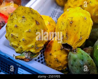 Pitahaya amarillo ist eine tropische Frucht, die tatsächlich auf Kakteen in Peru wächst Stockfoto