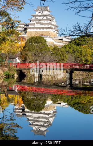 Blick auf das Himeji-Schloss bei Sonnenaufgang während der koyo-Saison, Hyogo, Japan. Stockfoto