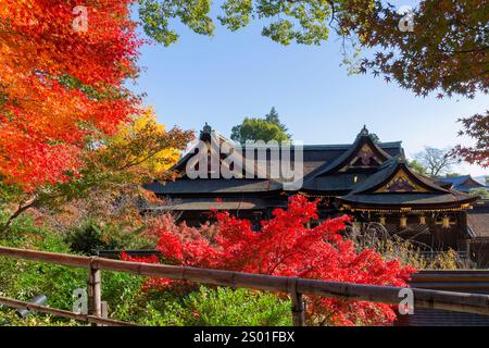 Wunderschöne herbstliche Landschaft mit Ahornbäumen von majestätischen traditionellen japanischen Architekturen in Kitano Tenmangu, einem berühmten Shinto-Schrein (Jinja) in Kyoto, ja Stockfoto