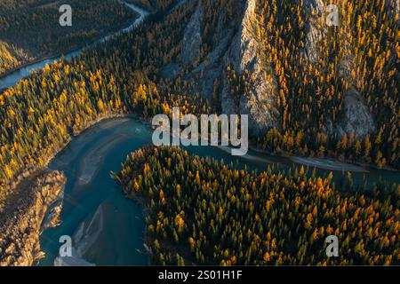 Luftbild mit einem kurvenreichen Fluss, der durch herbstfarbene Wälder mit umliegenden Bergen fließt. Stockfoto