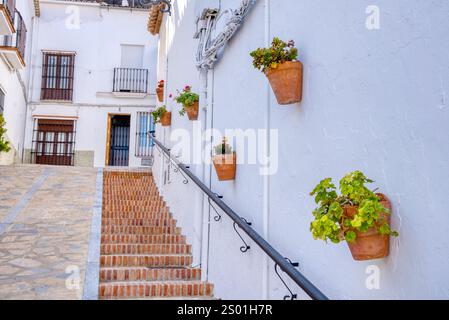 Blumentöpfe hängen an der Wand entlang der Straße im weißen Dorf Zahara de la Sierra in der Provinz Cadiz in Andalusien Stockfoto