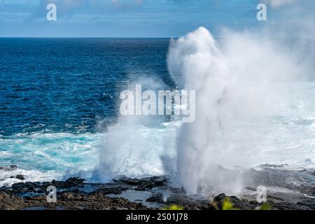 Wasserausläufe in Bloholes oder Meeresgeysire an der felsigen Küste von Punta Suarez, Espanola Island, Galapagos Stockfoto