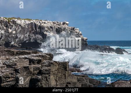 Wellen brechen an der felsigen Küste von Punta Suarez, Espanola Island, Galapagos Stockfoto