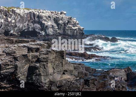 Wellen brechen an der felsigen Küste von Punta Suarez, Espanola Island, Galapagos Stockfoto