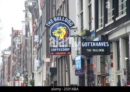 Dateibild: Eine Straßenszene mit einem Schild für „The Bulldog“ Coffee Shop in Amsterdam, Niederlande im Jahr 2012 Stockfoto