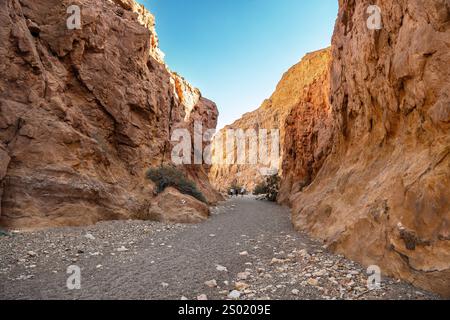 Rote Felsen des roten Canyons in Eilat, israel Stockfoto