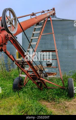 Ein großes rotes und silbernes Kornsilo mit einer Leiter oben. Das Silo ist von Gras umgeben und befindet sich auf einem Feld Stockfoto