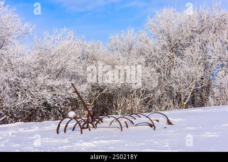 Ein rostiger alter Pflug sitzt im Schnee neben einem Wald. Der Schnee ist tief und der Himmel ist klar Stockfoto