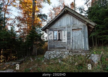 Eine Holzhütte im Herbstwald auf dem Berg Tara in Serbien. Stockfoto