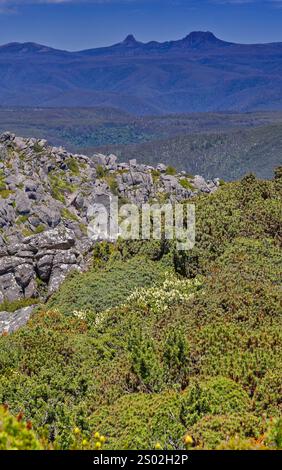 Blick auf Barn Bluff und Cradle Mountain am Horizont am sonnigen Tag des blauen Himmels vom Mount Roland Regional Reserve, Sheffield, Tasmanien, Australien Stockfoto