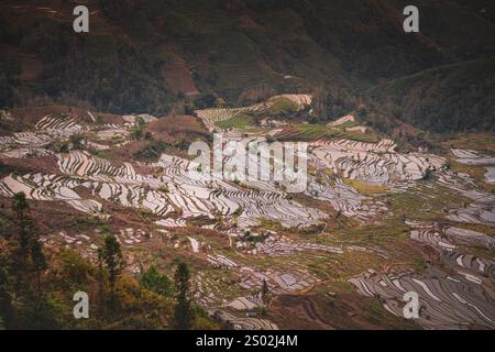 Wunderschöner Sonnenuntergang über Yuanyang Reisterrassen in Laohuzui Gegend, Yunnan, China. UNESCO-Weltkulturerbe Stockfoto