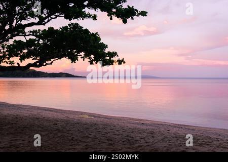 Bäume am Strand bei einem rosa Sonnenuntergang. Romblon, Philippinen Stockfoto