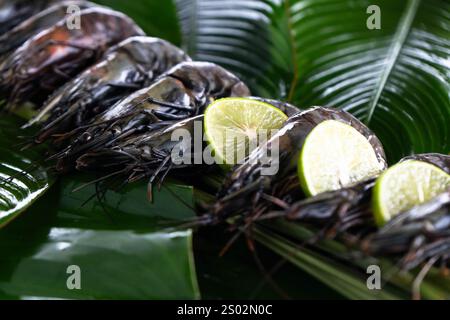 Exquisite asiatische Tigergarnelen sind wunderschön auf lebendigen Bananenblättern angeordnet, ergänzt durch frische Limettenscheiben. Diese kulinarische Köstlichkeit zeigt die Stockfoto