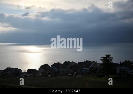 Schweiz. Dezember 2024. Der Genfer See, der größte Alpensee, wird von einem Weinberg in Rivaz, Schweiz, an einem bewölkten Tag gesehen. Die Lavaux-Weingärten erstrecken sich über 30 km entlang des Nordufers des Genfer Sees und stammen aus dem 11. Jahrhundert. Es wurde 2007 zum UNESCO-Weltkulturerbe erklärt. (Foto: Apolline Guillerot-Malick/SOPA Images/SIPA USA) Credit: SIPA USA/Alamy Live News Stockfoto