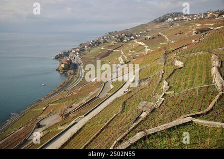 Schweiz. Dezember 2024. Die Terrassen des Rivaz-Weinbergs und der Genfer See, der größte Alpensee, sind vom Faverges aus zu sehen, einem Weinberg in Saint-Saphorin in der Schweiz. Die Lavaux-Weingärten erstrecken sich über 30 km entlang des Nordufers des Genfer Sees und stammen aus dem 11. Jahrhundert. Es wurde 2007 zum UNESCO-Weltkulturerbe erklärt. (Foto: Apolline Guillerot-Malick/SOPA Images/SIPA USA) Credit: SIPA USA/Alamy Live News Stockfoto