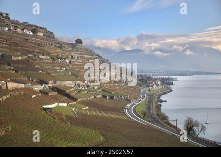 Schweiz. Dezember 2024. Weingärten und Genfer See, der größte Alpensee, sind von einem Weinberg in Rivaz, Schweiz, zu sehen. Die Lavaux-Weingärten erstrecken sich über 30 km entlang des Nordufers des Genfer Sees und stammen aus dem 11. Jahrhundert. Es wurde 2007 zum UNESCO-Weltkulturerbe erklärt. (Foto: Apolline Guillerot-Malick/SOPA Images/SIPA USA) Credit: SIPA USA/Alamy Live News Stockfoto