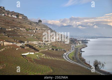 Schweiz. Dezember 2024. Weingärten und Genfer See, der größte Alpensee, sind von einem Weinberg in Rivaz, Schweiz, zu sehen. Die Lavaux-Weingärten erstrecken sich über 30 km entlang des Nordufers des Genfer Sees und stammen aus dem 11. Jahrhundert. Es wurde 2007 zum UNESCO-Weltkulturerbe erklärt. (Credit Image: © Apolline Guillerot-Malick/SOPA Images via ZUMA Press Wire) NUR REDAKTIONELLE VERWENDUNG! Nicht für kommerzielle ZWECKE! Stockfoto