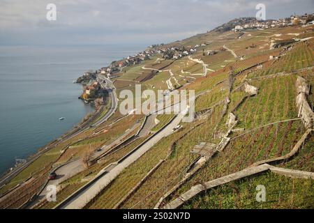 Schweiz. Dezember 2024. Die Terrassen des Rivaz-Weinbergs und der Genfer See, der größte Alpensee, sind vom Faverges aus zu sehen, einem Weinberg in Saint-Saphorin in der Schweiz. Die Lavaux-Weingärten erstrecken sich über 30 km entlang des Nordufers des Genfer Sees und stammen aus dem 11. Jahrhundert. Es wurde 2007 zum UNESCO-Weltkulturerbe erklärt. (Credit Image: © Apolline Guillerot-Malick/SOPA Images via ZUMA Press Wire) NUR REDAKTIONELLE VERWENDUNG! Nicht für kommerzielle ZWECKE! Stockfoto