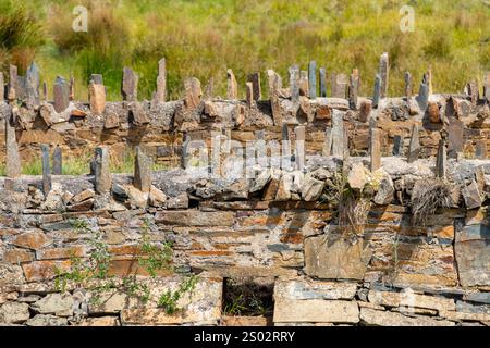 Sträfling Heritage Bridge Tasman Highway, Swansea, East Coast Tasmania Stockfoto