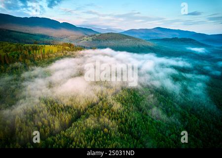 Atemberaubender Blick aus der Luft auf dichten Wald, bedeckt mit Morgennebel, mit sanften grünen Hügeln und fernen Bergen unter pastellfarbenem Himmel. Nebel schafft eine traumhafte Atmosphäre und macht die Landschaft weicher. Stockfoto