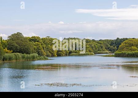 Eastern Lake im Cosmeston Lakes Country Park, Penarth, Vale of Glamorgan, Südwales, Großbritannien Stockfoto