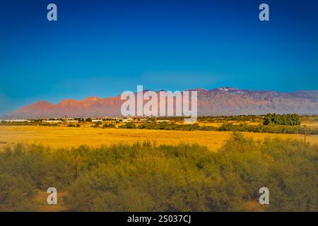 Dieses Foto fängt die raue Schönheit von Tucson, Arizona, mit seiner dramatischen Berglandschaft am Horizont ein. Saguaro Kakteen Punkt Stockfoto