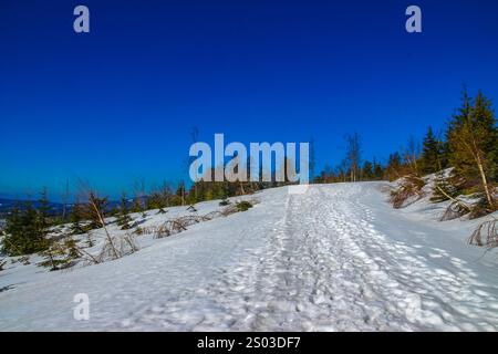 Bergroute, die zum Gipfel des Skrzyczne-Berges führt, im Winter bergauf in den schlesischen Beskiden Stockfoto