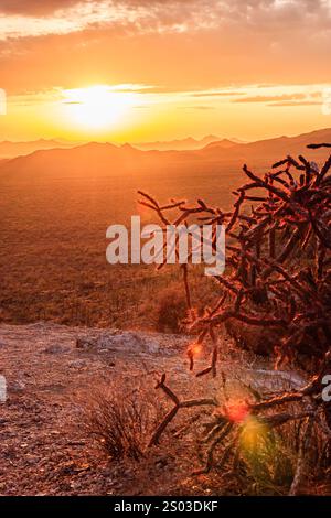 Ein Sonnenuntergang über einer Wüstenlandschaft mit einem Baum im Vordergrund. Die Sonne untergeht hinter dem Baum und strahlt ein warmes Licht über die Szene Stockfoto