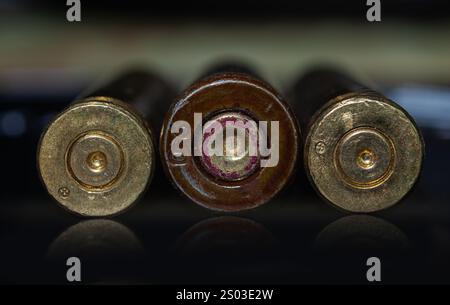 Ein detailliertes Makrobild von Kugelgehäusen, die auf einer reflektierenden dunklen Oberfläche ausgerichtet sind. Der Fokus hebt die komplizierten Texturen der Metalloberflächen hervor. Stockfoto