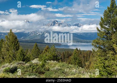 Jackson Lake und Teton Range vom Gipfel des Signal Mountain im Grand Teton National Park, Wyoming Stockfoto