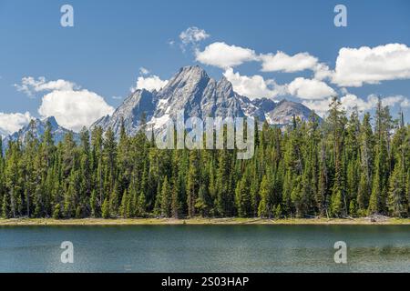 Mount Moran reflektiert über dem Jackson Lake entlang des Lakeshore Trail im Grand Teton National Park, Wyoming Stockfoto