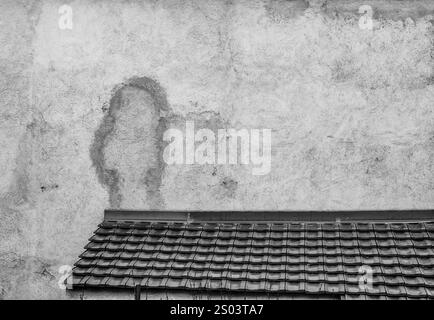 La Linea Man. Eine humorvolle Cartoon-Figur aus Feuchtigkeit auf dem Hintergrund der Wand. Die Linie. Animierte TV-Serie. Kindheitserinnerungen. Stockfoto