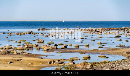 Eine ruhige Küstenlandschaft mit einer felsigen Küste mit verstreuten Felsbrocken, ruhigem Wasser, das den Himmel reflektiert, und einem weit entfernten Segelboot am Horizont. Stockfoto