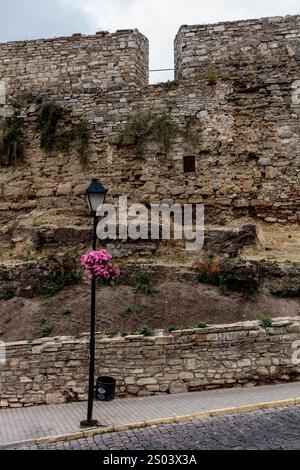 Eine Straßenlaterne mit einer rosa Blume oben steht vor einer Steinmauer. Die Mauer ist mit Efeu bedeckt und es fehlen einige Steine. Die Lampe ist die einzige Stockfoto