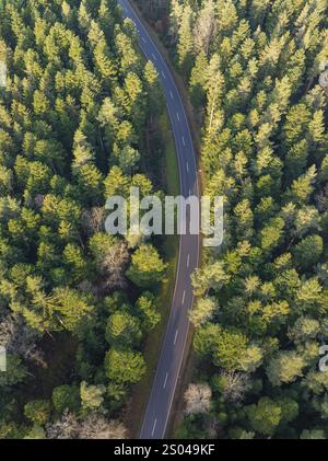 Blick aus der Vogelperspektive auf eine gewundene Straße, die sich durch einen dichten, grünen Wald schlängelt, abgelegen und ruhig, Agenbach, Schwarzwald, Deutschland, Europa Stockfoto