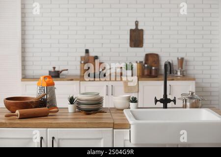 Waschbecken, Zimmerpflanzen und verschiedene Utensilien auf der Theke in der Küche Stockfoto