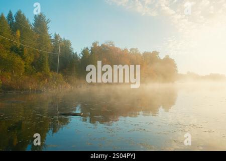 Ein nebeliger Herbstmorgen am Cranberry Lake in den Adirondack Mountains, New York Stockfoto
