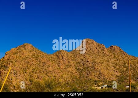 Dieses Foto fängt die raue Schönheit von Tucson, Arizona, mit seiner dramatischen Berglandschaft am Horizont ein. Saguaro Kakteen Punkt Stockfoto