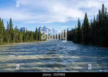 Blick auf den Whirlpool River vom Highway 93A im Jasper National Park, Alberta, Kanada. Er ist ein früher Nebenfluss des Athabasca River. Stockfoto