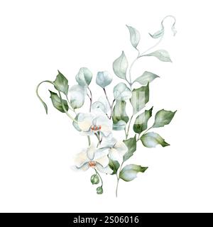 Weiße Orchideen, wellige Zweige in zartem Blumenstrauß in pastellfarbenem Aquarell isoliert. Laub Eukalyptus und stechpalme handgezeichnet. Ein Haufen mit Blumen und Stockfoto