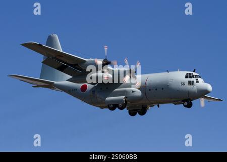 Ein Lockheed C-130R Hercules Militär-Transportflugzeug mit der japanischen Maritime Self Defence Force (JMSDF), das in der Nähe des Luftstützpunkts NAF Atsugi flog. Japan Stockfoto