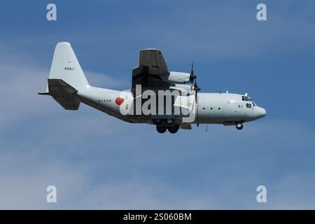 Ein Lockheed C-130R Hercules Militär-Transportflugzeug mit der japanischen Maritime Self Defence Force (JMSDF), das in der Nähe des Luftstützpunkts NAF Atsugi flog. Japan Stockfoto